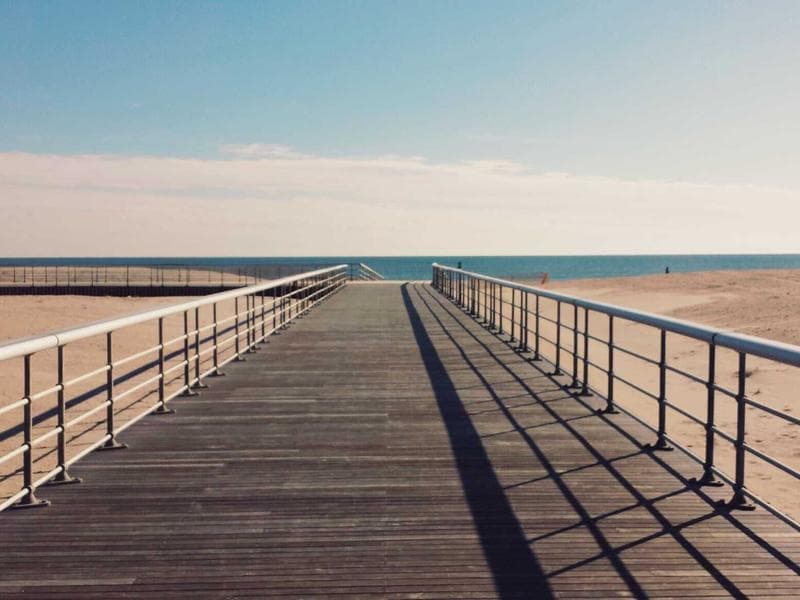 Licensed Cotton Car #6-SosJ