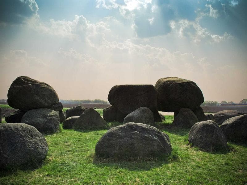 Licensed Bamboo Mouse #5-Mk1l