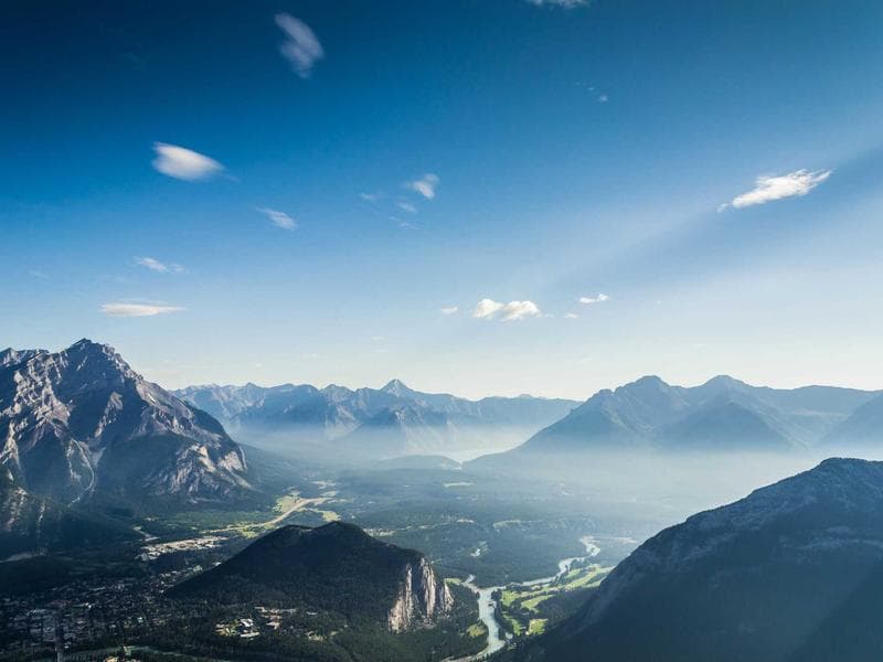 Sleek Silk Table #8-fB20