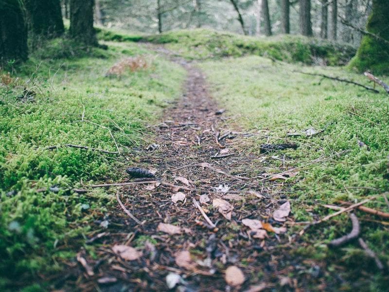 Generic Concrete Hat #10-T9pT