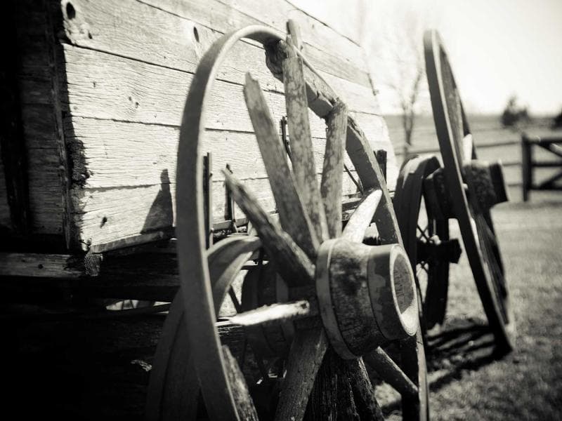 Modern Rubber Salad #4-WzhJ