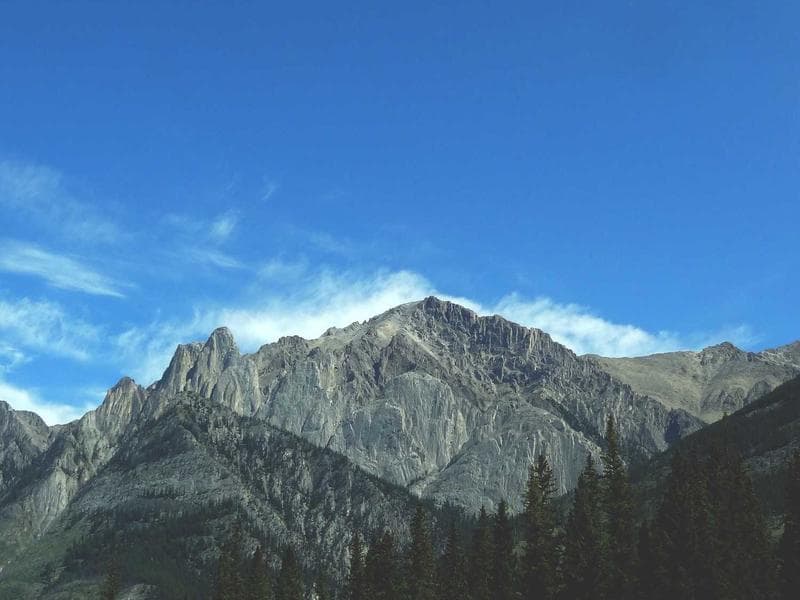 Intelligent Metal Pants #5-IEBw