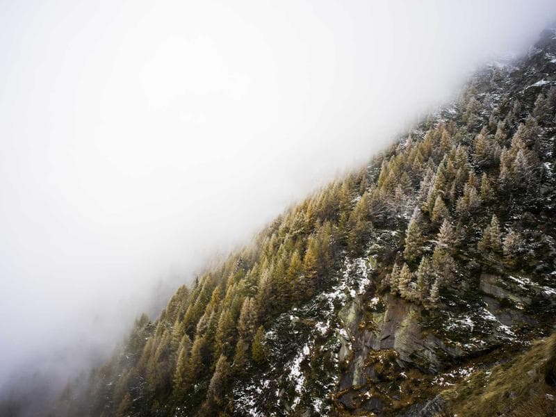 Fantastic Metal Shoes #3-saft