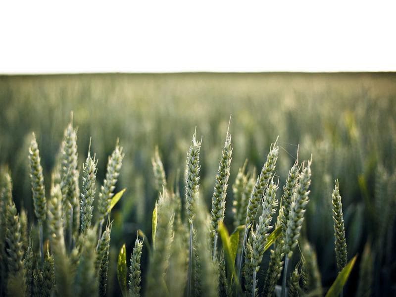 Fantastic Concrete Soap #7-GTXO