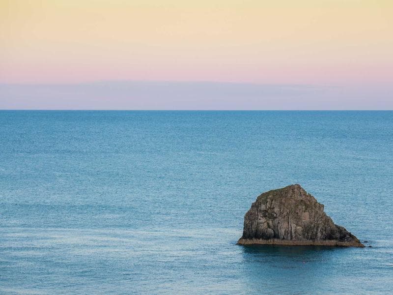 Electronic Metal Tuna #7-FZNw