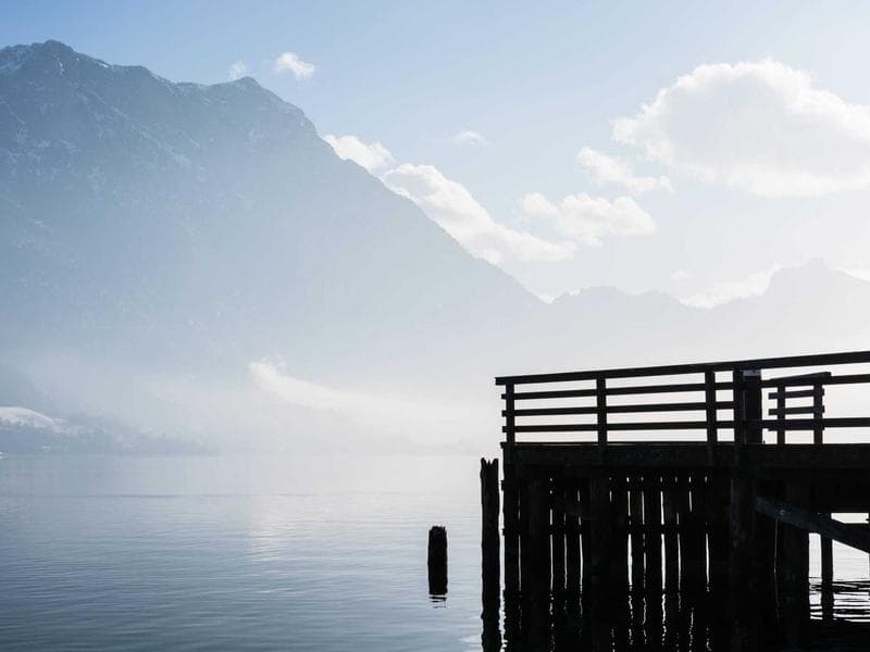 Luxurious Gold Gloves #1-jgb0