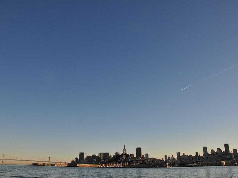 Licensed Bamboo Tuna #5-EeDY