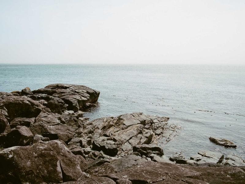 Rustic Plastic Fish #2-s1iC