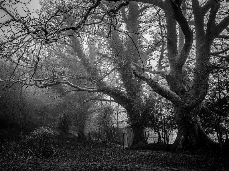 Soft Rubber Computer #9-3lm5