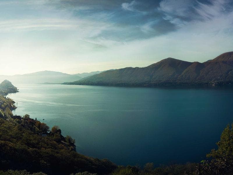 Generic Gold Fish #8-e8qv