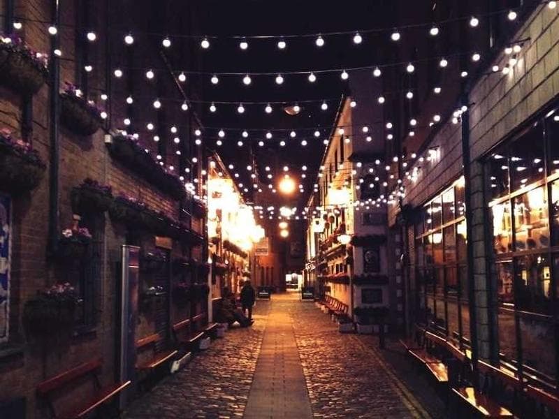 Frozen Cotton Chips #9-eJWL