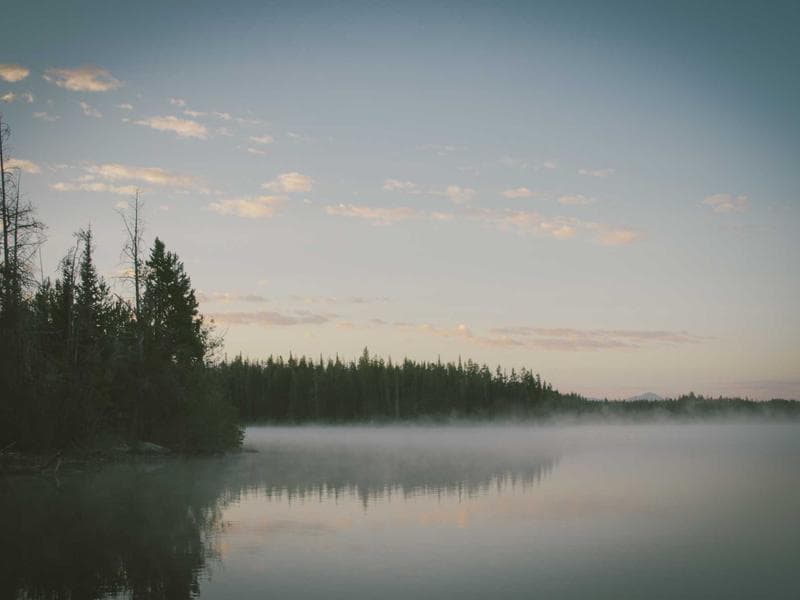 Refined Silk Table #3-3Vn1