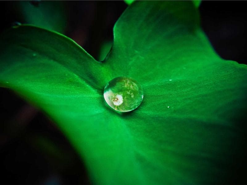 Sleek Bronze Chips #3-8W1i