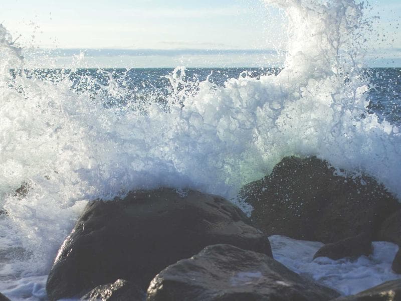 Tasty Gold Pants #9-ENKY