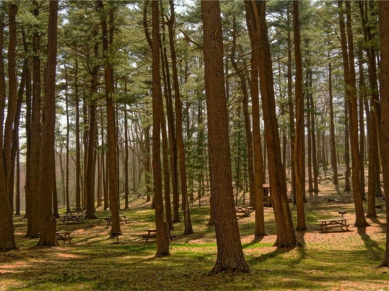 Tasty Marble Chips #10-Ox4e