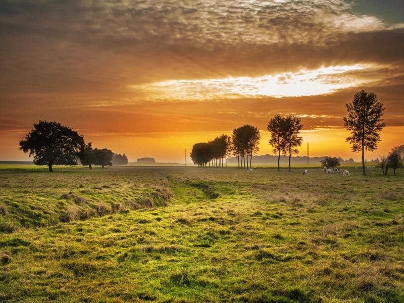 Recycled Ceramic Cheese #13-1KNN