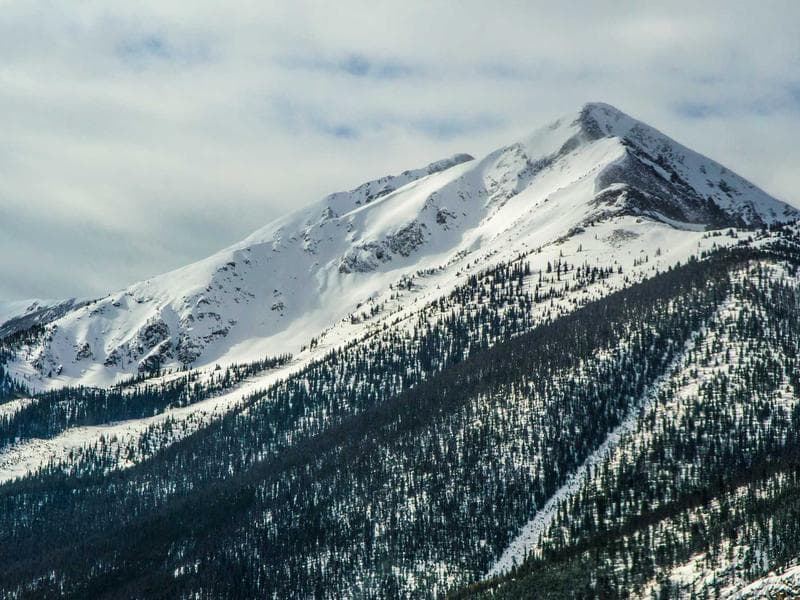 Sleek Gold Chips #1-LAOq