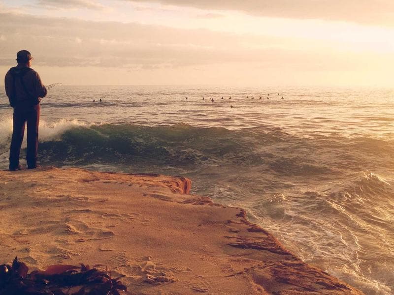 Sleek Wooden Bacon #4-M0jO