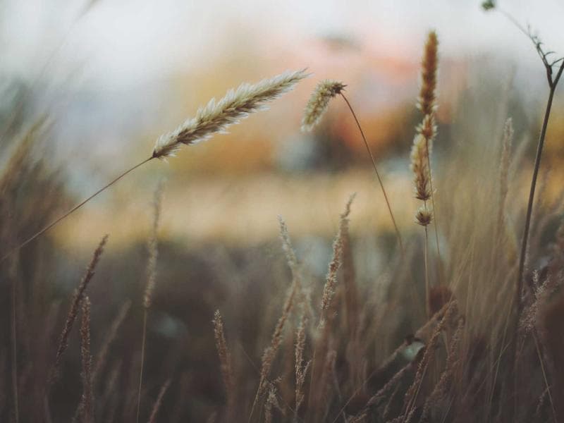 Unbranded Plastic Pants #8-xeqk