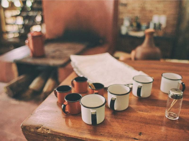 Intelligent Steel Cheese #12-6Xrd