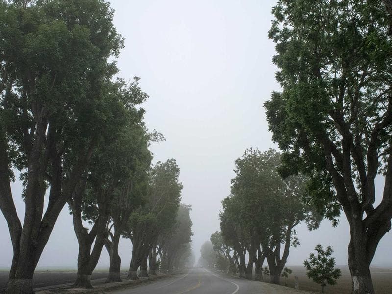 Unbranded Granite Bike #4-OEbh