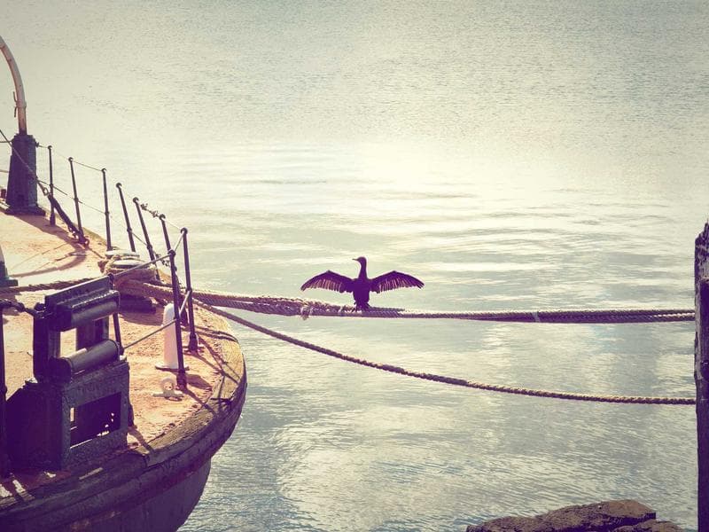 Recycled Rubber Pizza #5-lpSQ