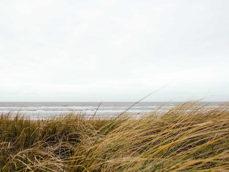 Ergonomic Plastic Chair #9-Hn3c