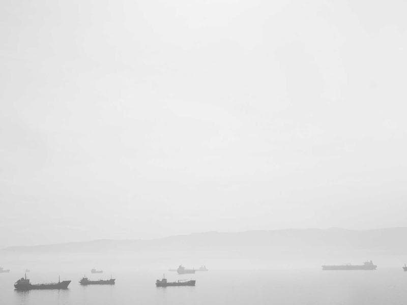 Awesome Cotton Salad #6-hrV5