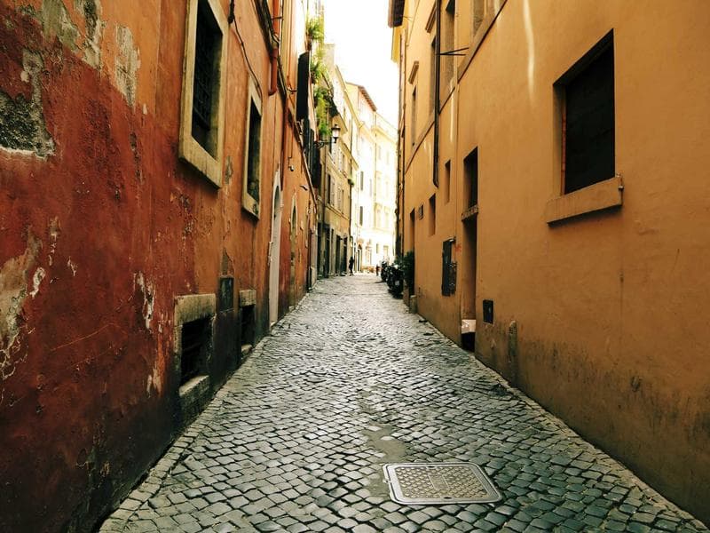 Gorgeous Rubber Fish #5-FIZJ