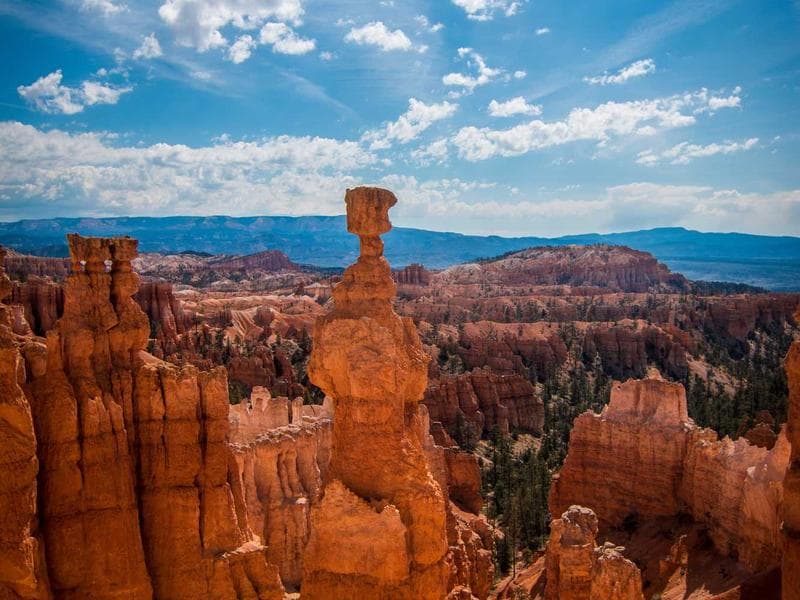 Intelligent Silk Towels #8-tb4R