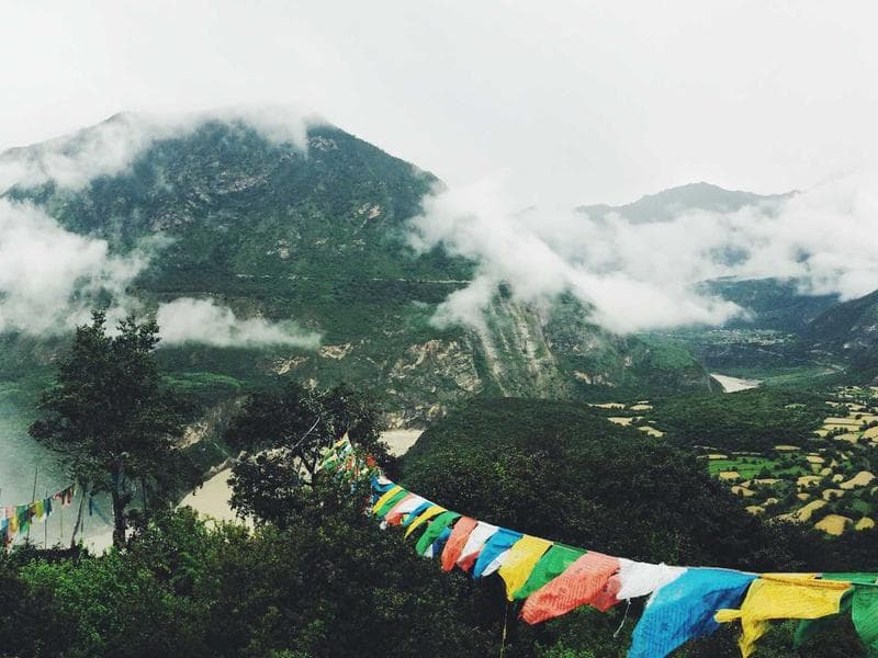 Elegant Gold Pizza #1-n5Zt