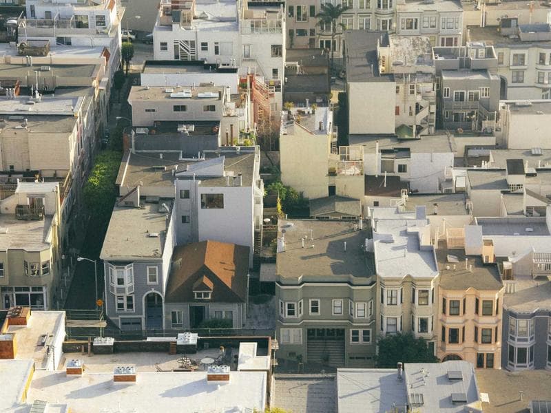 Luxurious Silk Chicken #2-AYOV