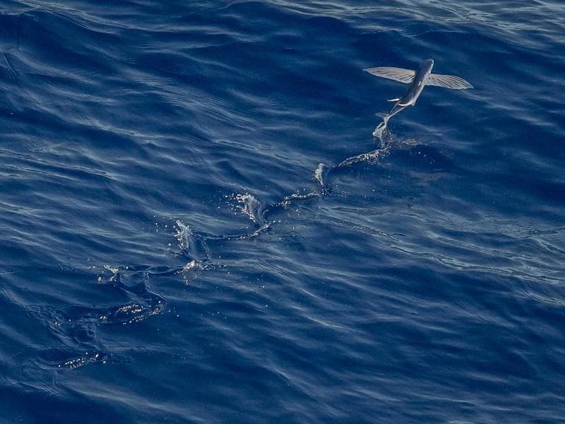 Handcrafted Bronze Towels #10-Fuj6