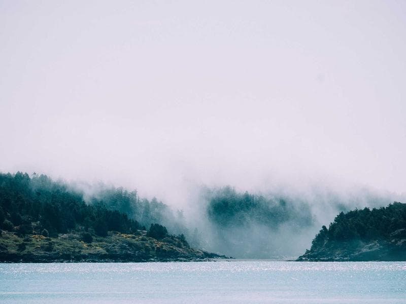 Sleek Bronze Shoes #4-m3NS