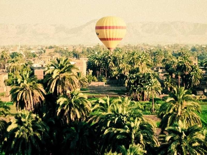 Unbranded Steel Bacon #1-XLfE