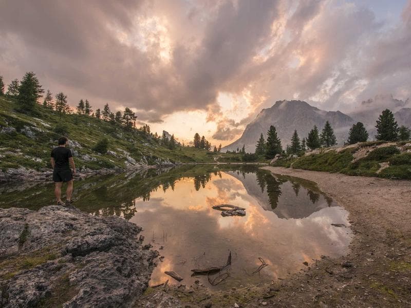 Fresh Bronze Salad #1-DTkz