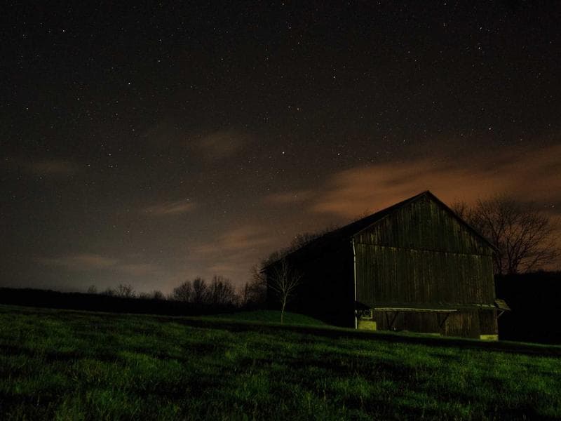 Frozen Bronze Chicken #3-DldG