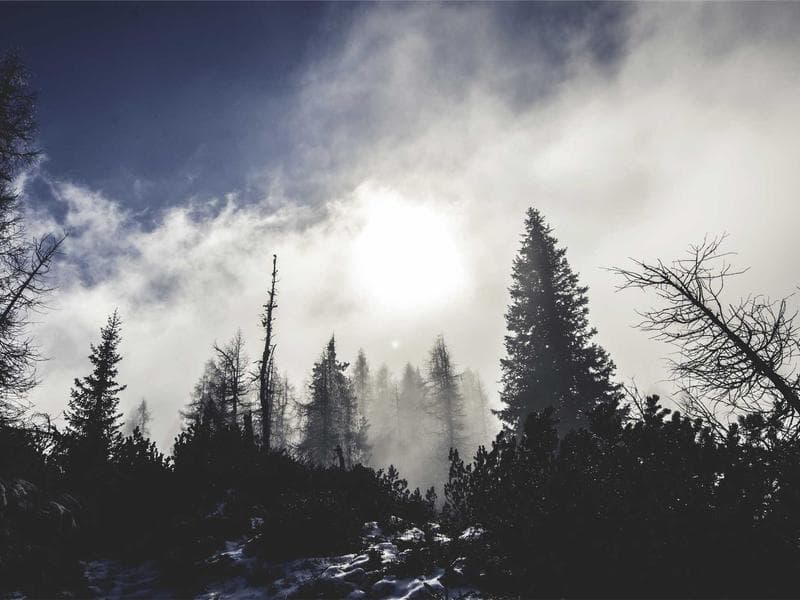 Fresh Silk Keyboard #1-AF4C