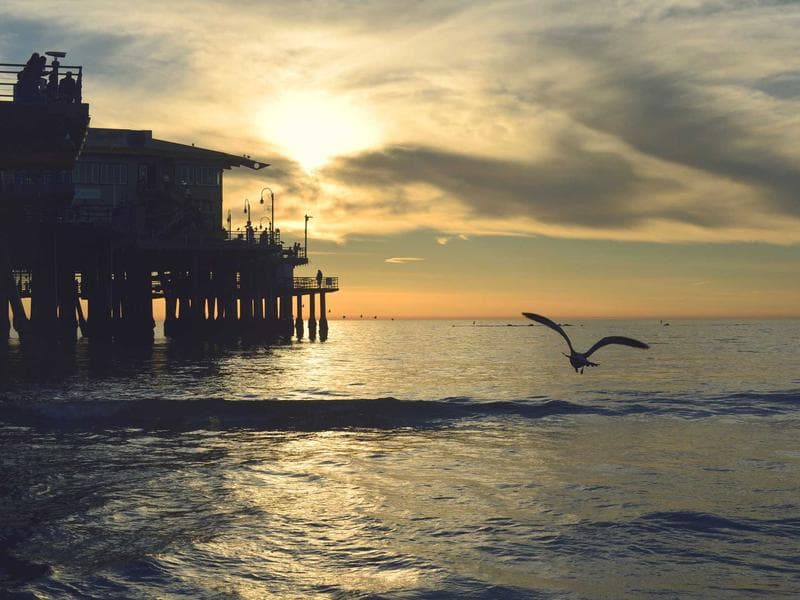 Bespoke Gold Computer #12-F36x