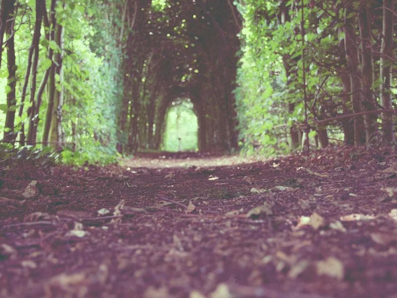 Bespoke Metal Gloves #4-CdMQ