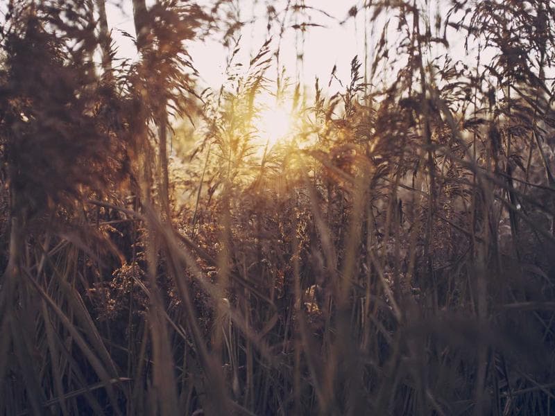 Practical Bamboo Shoes #6-HqM2