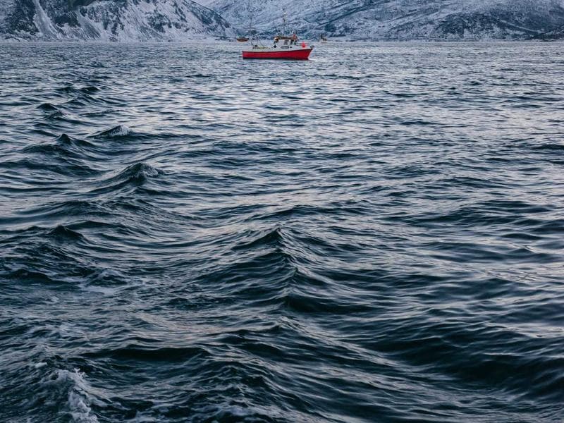 Fresh Rubber Ball #3-DTSr