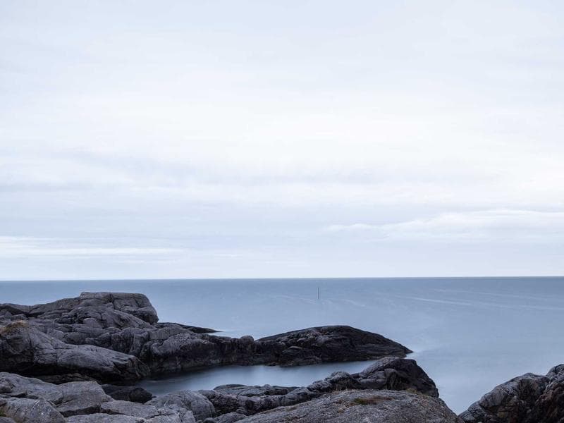 Licensed Bamboo Mouse #7-UAY5