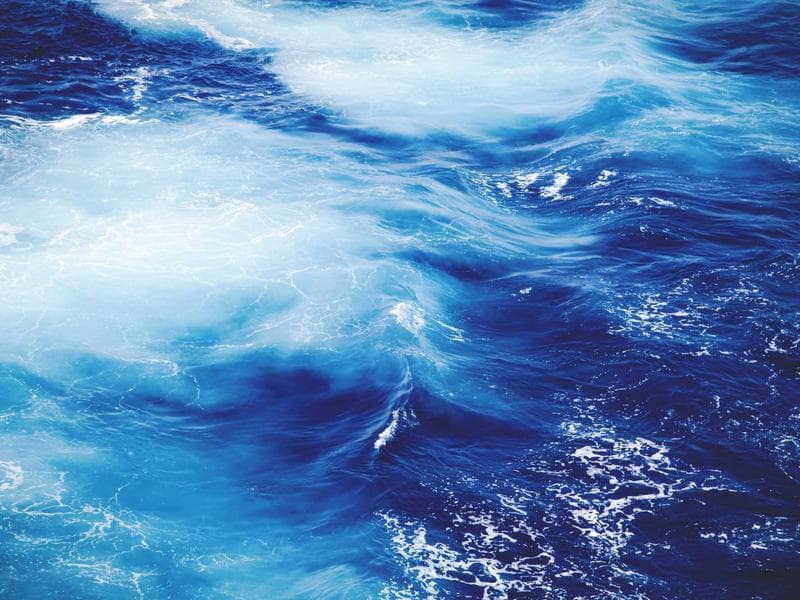 Modern Silk Bacon #3-0Il3