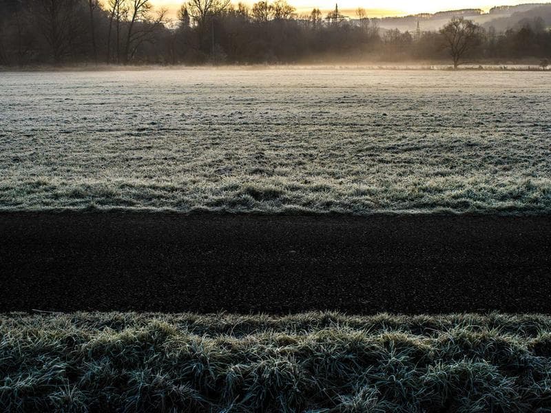 Elegant Gold Mouse #5-ZnMt