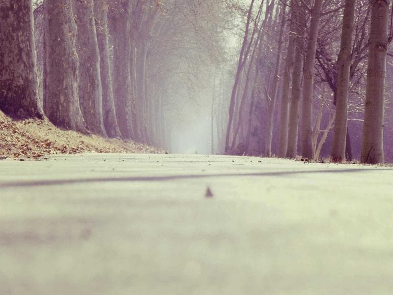 Awesome Bronze Shirt #15-WHht