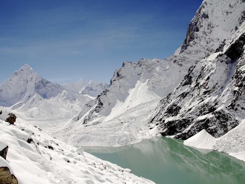 Awesome Bamboo Cheese #8-oFrN